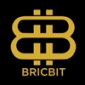 BricBit