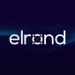 Elrond Network