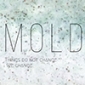 MOLD